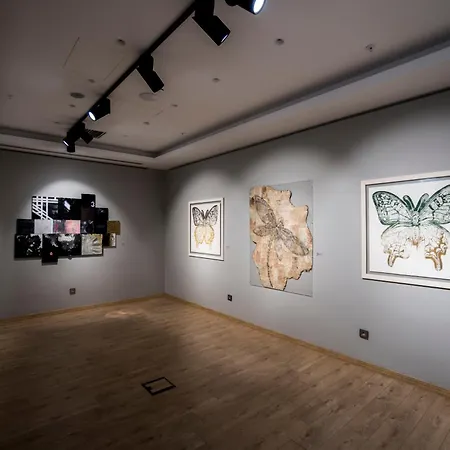 Endless Art Hotel-special Category