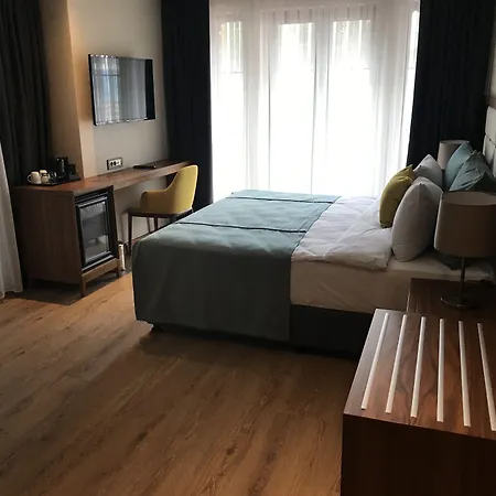 Endless Art Hotel-special Category Hotel Istanbul